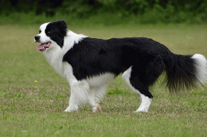 22197167 cef5c2b4a94108408bdfc96b403c1b96 m