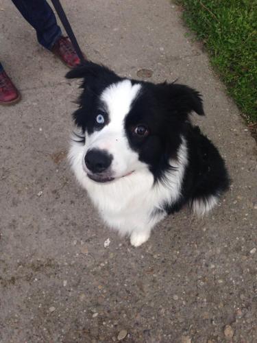 22197169 dfade44493125cecbc546c35e555b084 xl