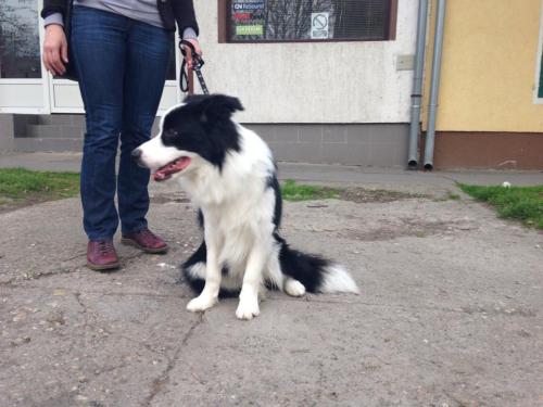 22197171 8ad5f8cb95de41a2e984a14d83c7ac34 xl