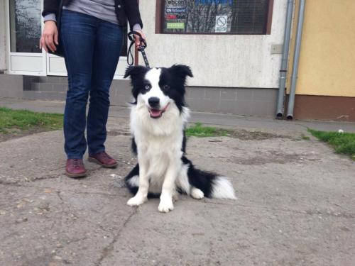 22197173 3ded2b6232b8d3c7955f4198dfa3402b xl