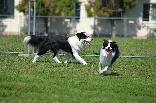 22197175 ce20c3a8832f914721f8a6cf26dad07a xl