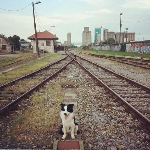 22197177 100cabe635610e12e85f4122200cd0fc m