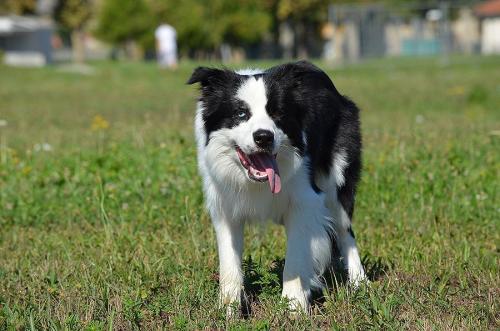 22197179 f5eeae4159a546bbb3fc8a2e56404c08 xl