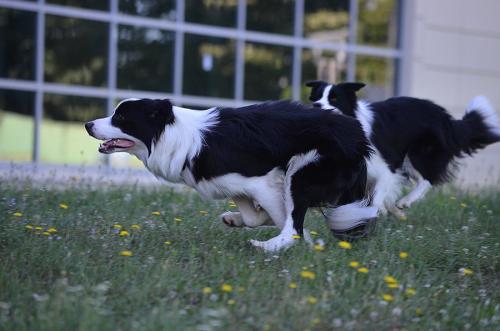 22197181 0b117541486303af9e257e2a25f632b7 xl