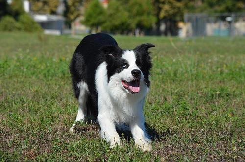 22197183 bd4275c40e239694d85ef77265399cdf xl