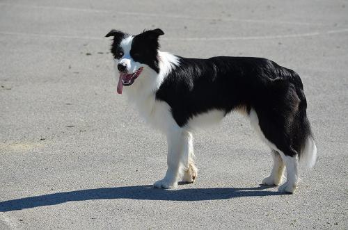 22197185 8b033a762cd5baf88968dde8bc53f970 xl