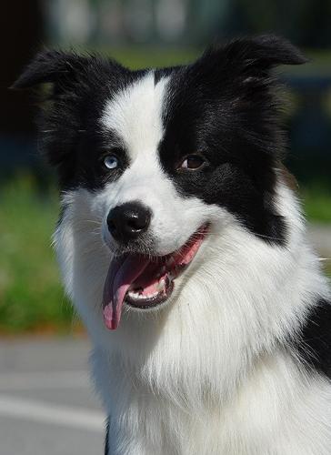 22197189 86d9f57c06d321842b4c39a90a1c8f9d l