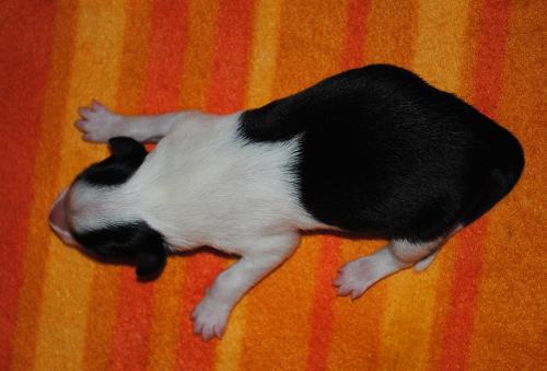 19163311 eb76fab10fd3cf46259fb1e17596e792 xl