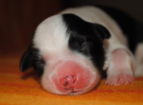 19163313 fbbf5df591513b1ae38902a7503dce44 xl