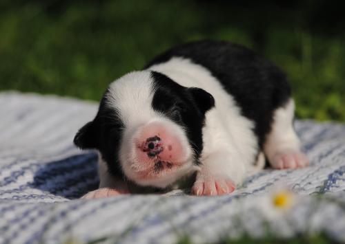 19198745 956d8e32f55ff36518ea9a082dbb3334 xl