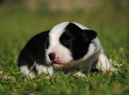 19251251 ab9711aa1aee48320552166ed0e84fc8 xl