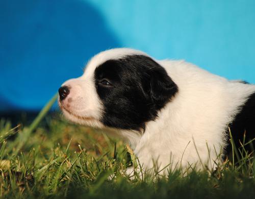 19324807 944cd6ba23fb1c3fcf7da0b99f1da53e xl