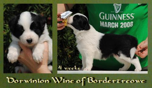 19362307 96530f3b410c188174394cdd0f0dcc47 xl