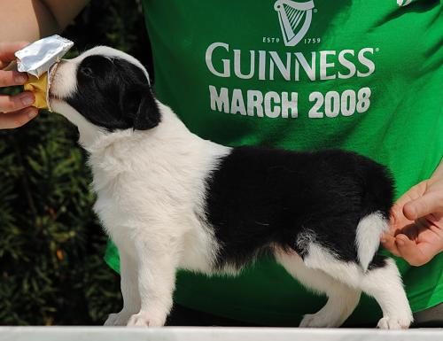 19362309 55102d505caae57a35212de81fdfc40f xl