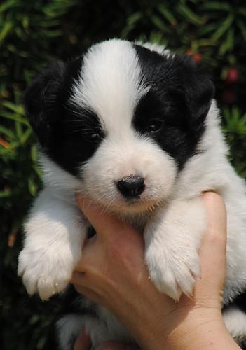 19362319 7298df96b4d99c322ff891ec4c252bf0 xl