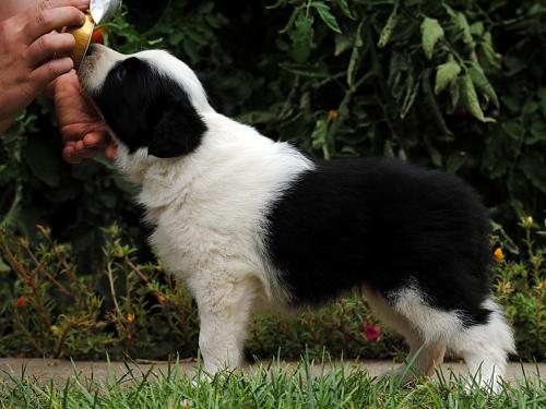 19423557 44634295f4f5c565ed0aab11dc2dcbb0 xl