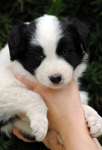 19423577 ca1c3d2f0bdefe369867974b9e578c81 xl