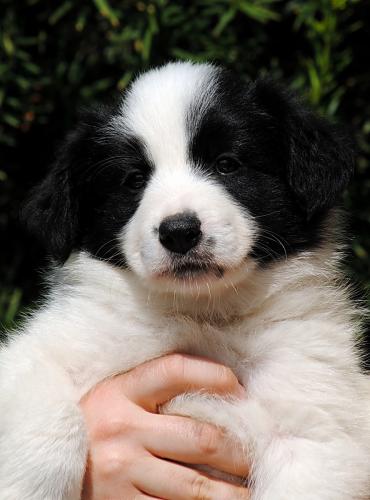 19544029 ffc587560529c12737357c3e4a47c29f xl