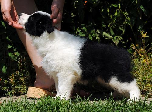 19544035 c4d2ada86ea963ea4dff84d9797cf65f xl