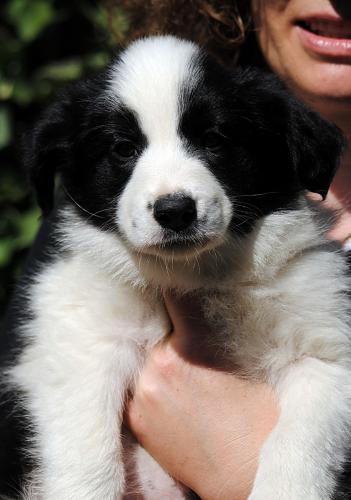 19544041 cf8fee4cff4deba02f0c4ea9cc10bead xl