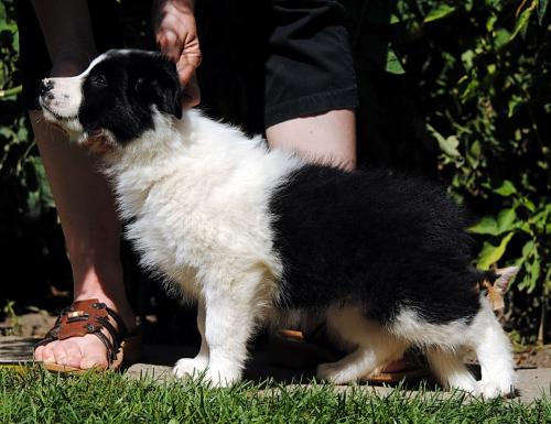 19544049 48c7b1f64153928e29c3f4ec9013b758 xl