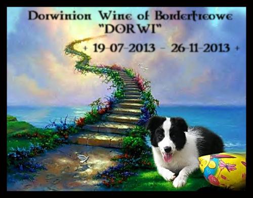 20105601 2d958f82ce07ffadef24c104f88c2e82 l