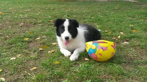 20105603 6f2e382f28f4b2b68bf96bead9463926 xl