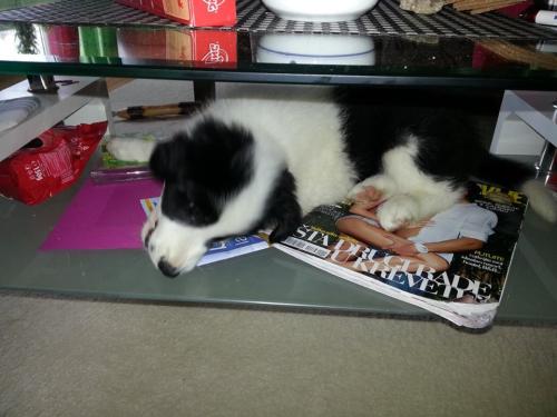 20105605 e1c340181e2b59312e34e87bbeced74e xl