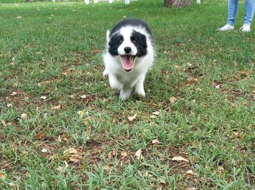 20172893 f64adc281ad49fff758c4a33b72a02a6 xl